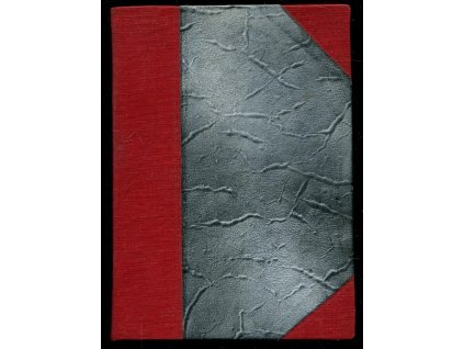 Ulice - román z posledních dob světové války, Vojtěch Lev, 1923