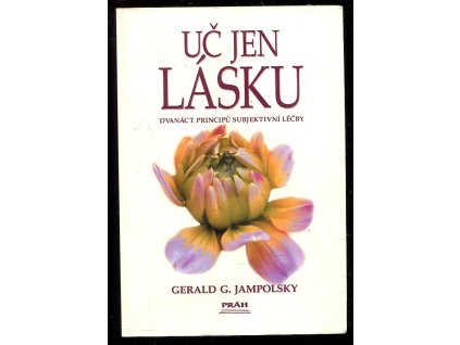 204642 uc jen lasku dvanact principu subjektivni lecby