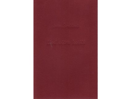 Hoď větru košili, Jana Štroblová, 2004