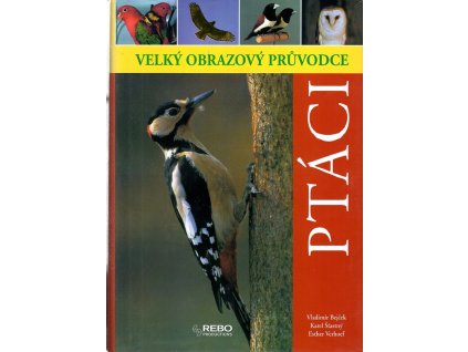 Ptáci - velký obrazový průvodce, Vladimír Bejček, 2009