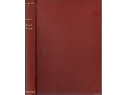 Šílená Evropa : román, Hanns Gobsch, 1933