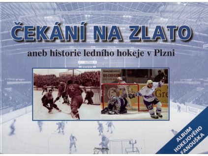 Čekání na zlato, aneb, Historie ledního hokeje v Plzni, 2006