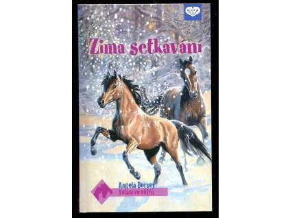 Zima setkávání, Angela Dorsey, 2013