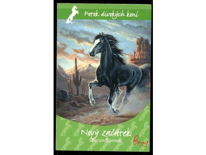 Nový začátek, Sharon Siamon, 2011