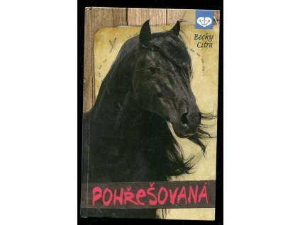 Pohřešovaná, Becky Citra, 2013