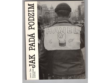 Jak padá podzim, David Žák, 1990