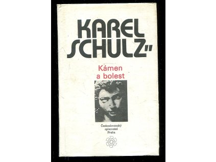 208260 kamen a bolest