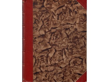 Vzducholodí do srdce Brasilie, F. Flos, 1929