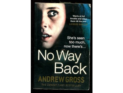 No Way Back, Andrew Gross, 2013