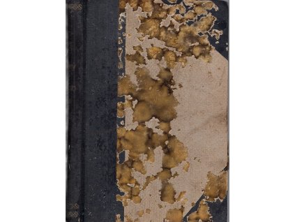 Zápisky z mrtvého domu : Román o dvou dílech, Fedor Michajlovič Dostojevskij, 1926