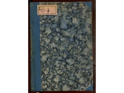 Eucharistie a mládež, Karel Lutislav, 1928