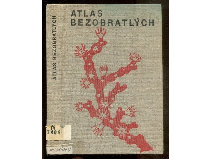 Atlas bezobratlých