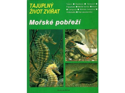 Mořské pobřeží, Charles Roux, 1992