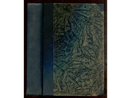 Die Dorfprinzessin, Anny von Panhuys, 1927