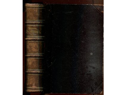 Der Erdball und seine Naturwunder - populäres Handbuch der physischen Geographie. 4. Band, Malerische Länder- und Völkerkunde