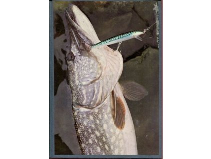 Rybářství - časopis Českého rybářského svazu - Ročník 1989 - Čísla 1-12, 1989