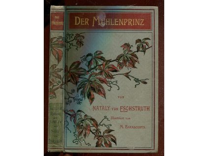 Der Mühlenprinz, Nataly von Eschstruth, 1900