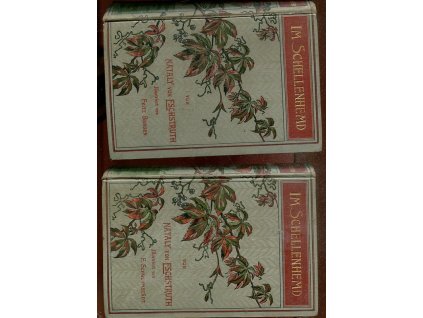 Im Schellenhemd. 2 Bände, Nataly von Eschstruth, 1900