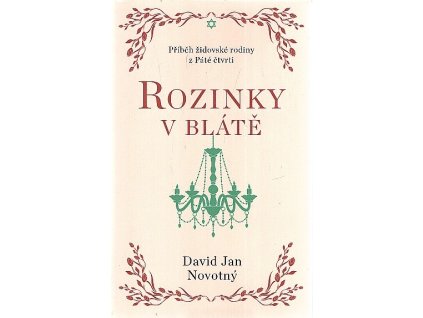 Rozinky v blátě - Dva tucty střepů - Příběh židovské rodiny z Páté čtvrti, David Jan Novotný, 2023