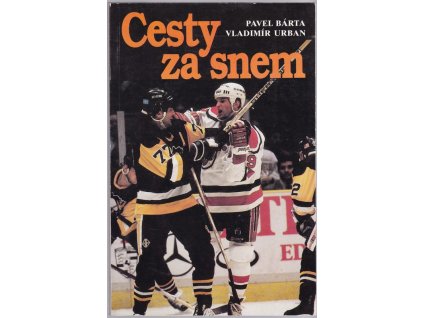 Cesty za snem