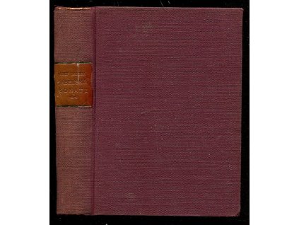 218397 dabelska sonata nekolik kapitol z lidske bible neznaboh dabelska sonata