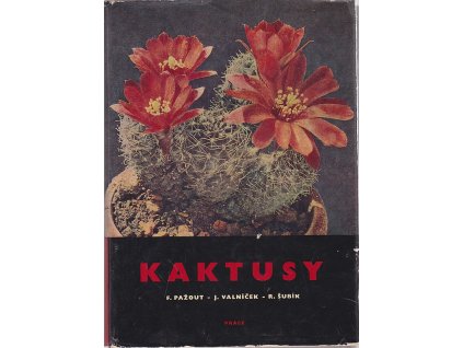 Kaktusy, František Pažout, 1965