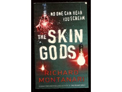 The Skin Gods, Richard Montanari, 2007