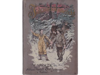 Bill, americký zálesák : Povídka z území indiánského