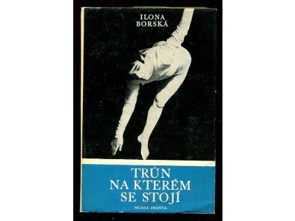 223314 trun na kterem se stoji kniha o eve bosakove