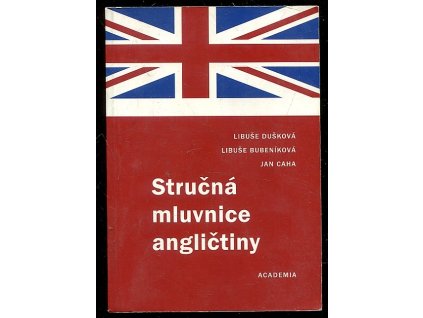 223746 strucna mluvnice anglictiny