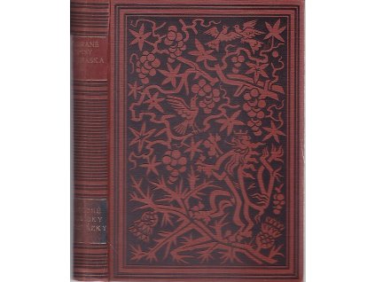 Drobné povídky a obrázky