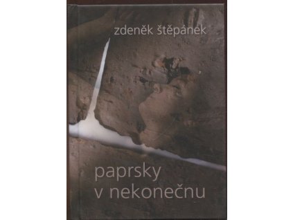 Paprsky v nekonečnu : básně z let 1997-2007, Zdeněk Štěpánek, 2007