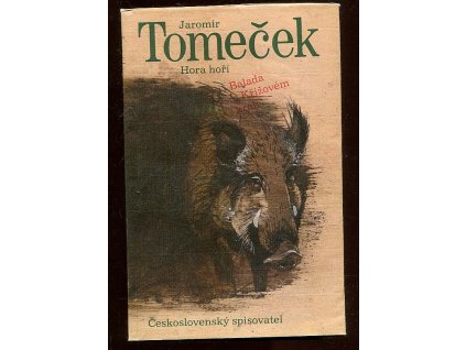 Hora hoří - Balada o křížovém králi, Jaromír Tomeček, 1984