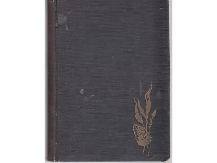 Dcera slunce. Příběh o Aztéckém pokladu, Jackson Gregory, 1928