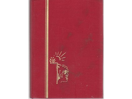 Bez masky - Román - historie - doklady - pravda, Vjačeslav J Razumovič-Chmara, 1935