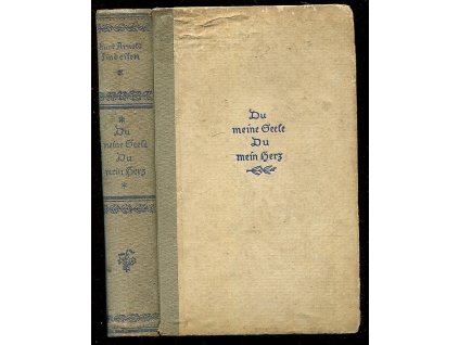 Du meine Seele, du mein Herz - Der Roman, Robert Schumann, 1923