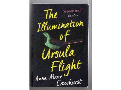 The Illumination of Ursula Flight, Anna-Marie Crowhurst, 2019
