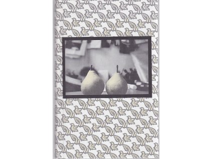 Písačky pre milovanú Lutéciu, Dominik Tatarka, 1999