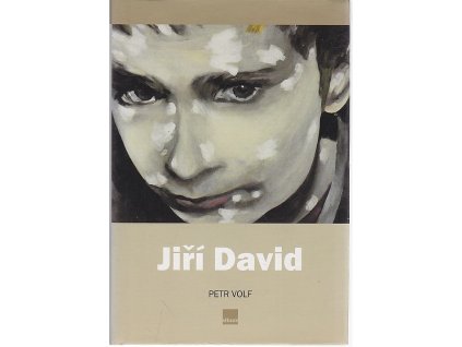 Jiří David : obrazy, objekty, instalace, fotografie 1984-2004, Petr Volf, 2005