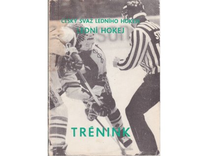 Lední hokej - Trénink