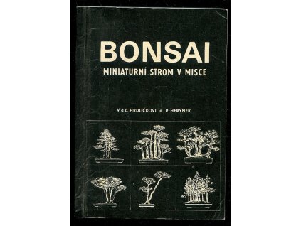 Bonsai - miniaturní strom v misce, Věna Hrdličková, 1985