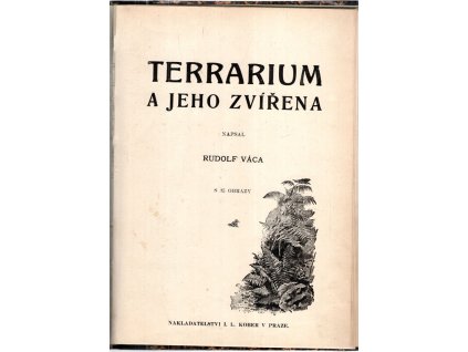 Terrarium a jeho zvířena