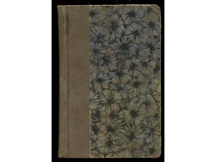 Zámek hrůzy + Otec a syn, B. Lonzer, 1935