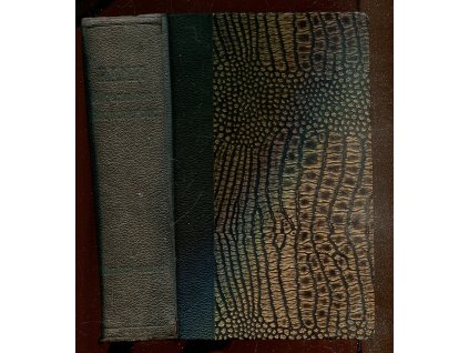 Allgemeines Handwörterbuch der böhmischen und deutschen Sprache. 1. böhmisch-deutscher Teil, Josef Rank, 1920