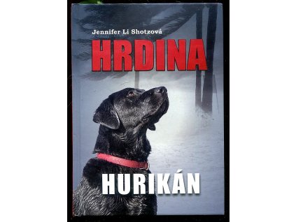 Hrdina 2. - Hurikán, Jennifer Li Shotz, 2018