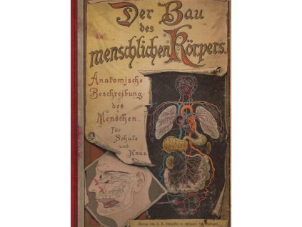 Der Bau des menschlichen Körpers. Anatomische Beschreibung des Menschen für Schule und Haus. Mit 19 Doppeltafeln in Farbendruck