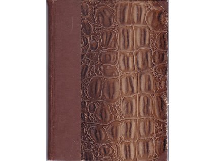 Protesty : verše Bohdana Kaminského : (1885-1889)