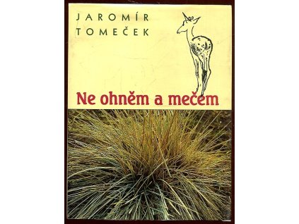 Ne ohněm a mečem, Jaromír Tomeček, 1994