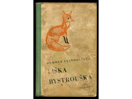 235764 liska bystrouska