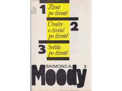 236262 zivot po zivote uvahy o zivote po zivote svetlo v zivote